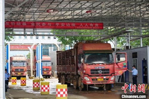 中緬邊境章鳳口岸2024年進(jìn)出口貨物量突破52萬(wàn)噸，國(guó)內(nèi)貿(mào)易代理作用顯著